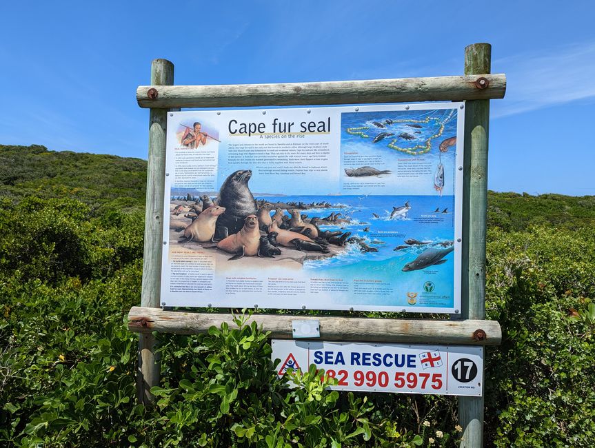 Plettenberg Bay/Robberg Nature Reserve