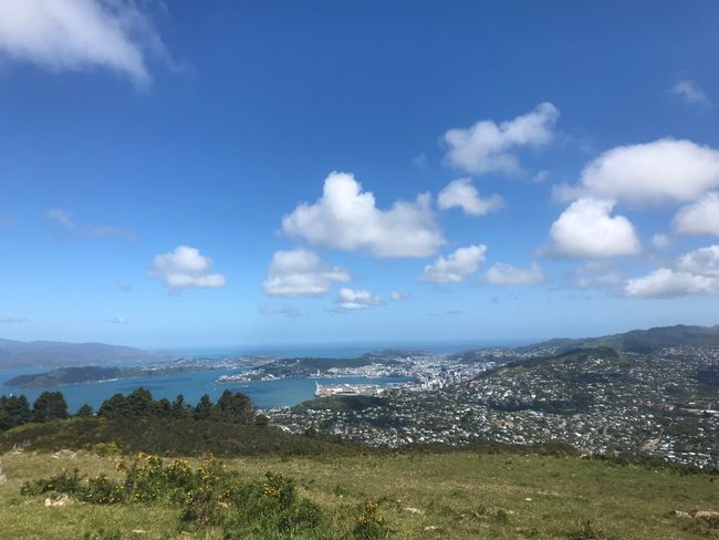 The special thing about Wellington