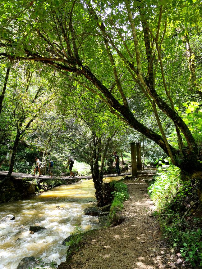 El Arcotete Ecological Park (2)