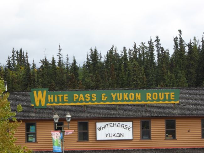 Yukon Quest, Whitehorse & Aurora Borealis