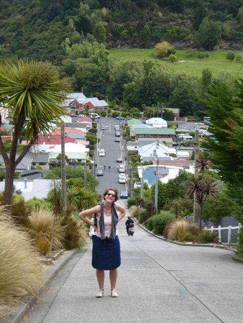 Writing a blog in New Zealand