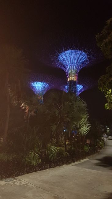 The Skytrees in the Gardens by Marina Bay.