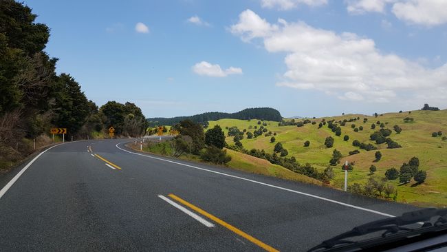 Day 3: Ruakaka - Waipoua Forest
