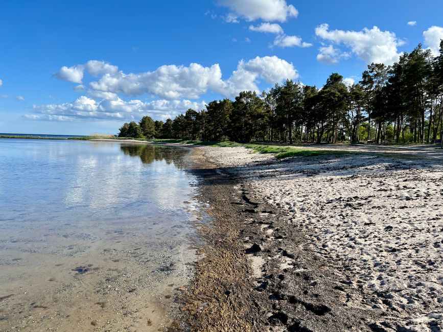 Strand in Söderåkra