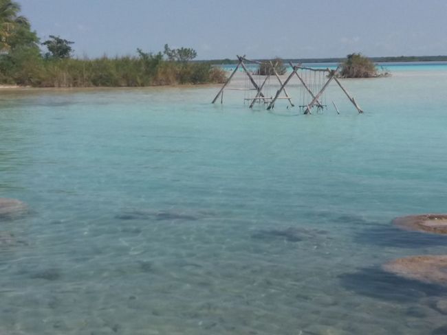 Everyone becomes a child again - swinging in Bacalar