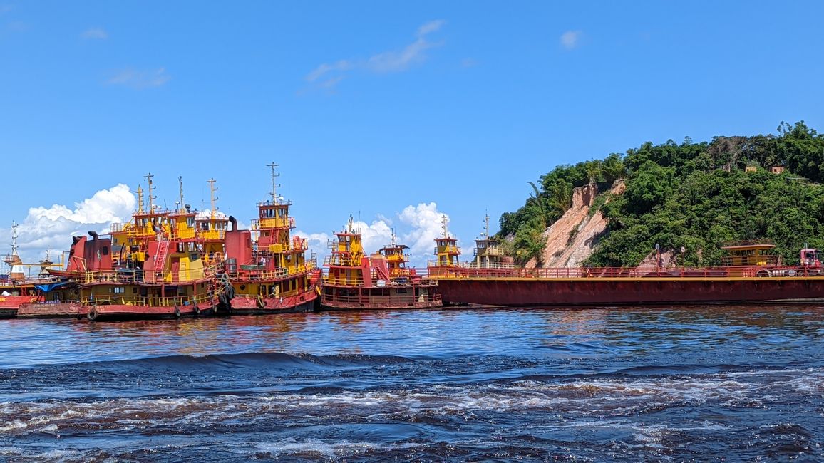 1. Tag Amazonas Dschungel