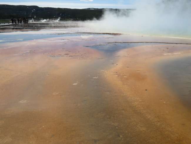 Tag 10: Yellowstone NP, Norris Geyser Besin, Midway Geyser Besin, Lɔwa Geyser Besin