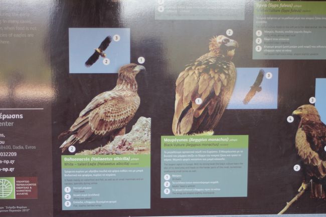 15.08.2018 - Ausflug zum Dadia Nationalpark und Vogelschtzzentrum, Soufli