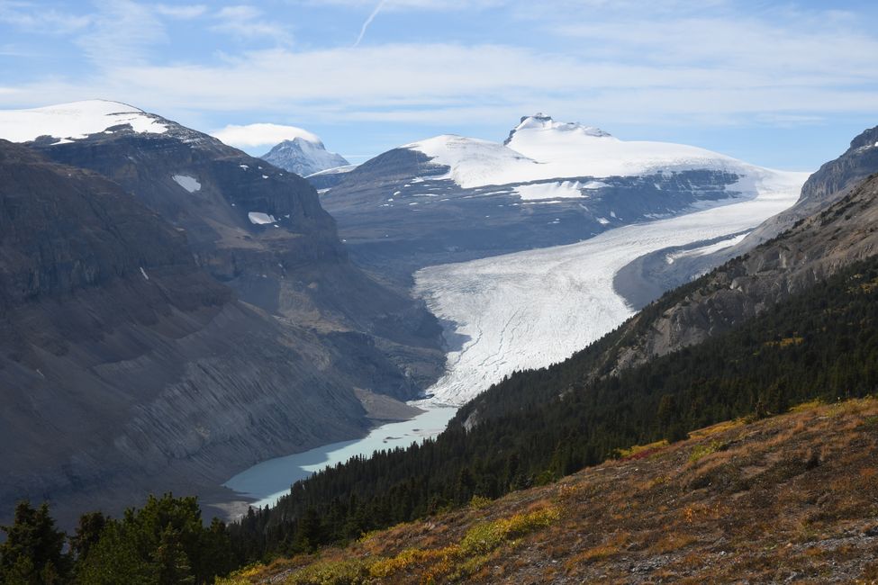 Canada - Alberta - Icefields Parkway - Saskatchewan Glacier at Parker Ridge