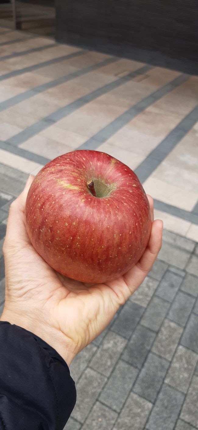 A really big apple as a change from all the snacks