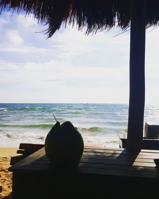 Sun, Beach and Coconut! - Otres Beach/Sihanoukville