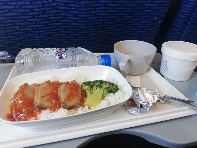 Airplane food: duck with rice and coconut-banana ice cream for dessert