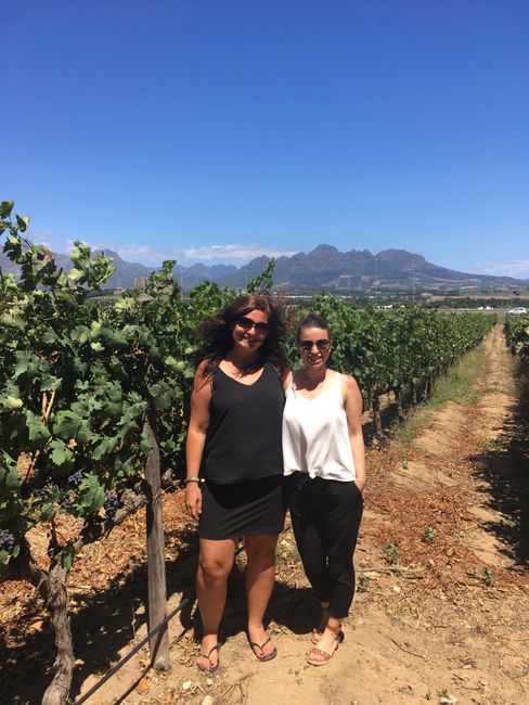 Weintour durch Stellenbosch, Kapstadt