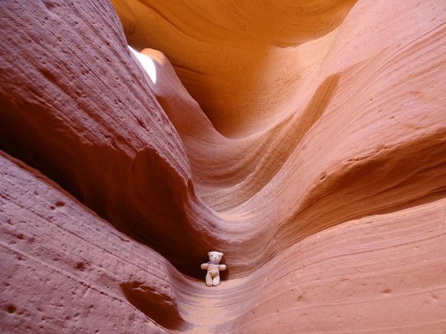 Henry in Antelope Canyon