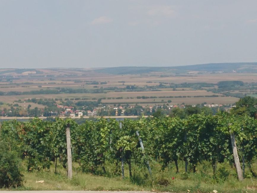 Ausblick über die Landschaft, die Donau und die Weinberge.