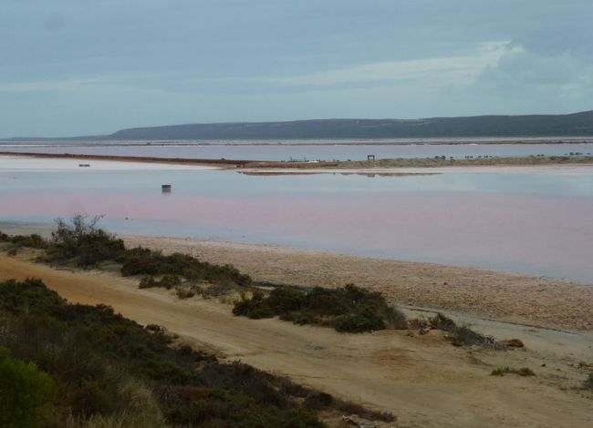 Pink Lake, Port Gregory