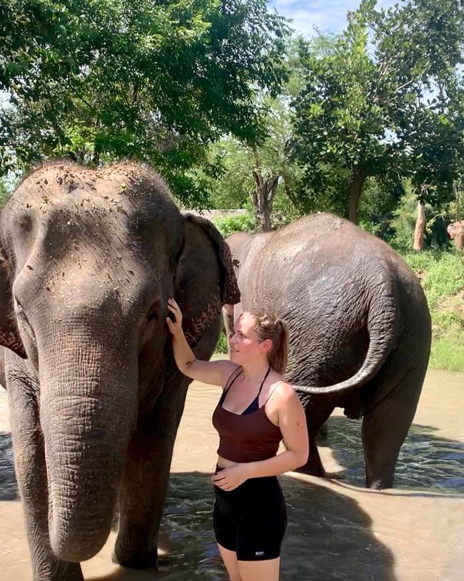 Elephant Sanctuary: Washing the elephants