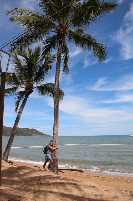 Magnetic Island 🐨