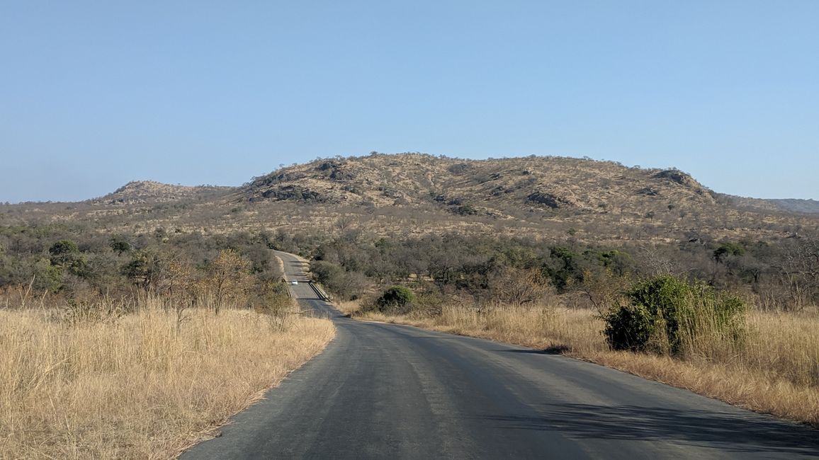 Tag 17: Wir erkunden den südlichen Kruger NP