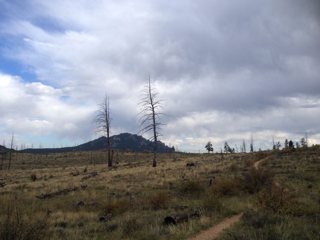 Randonnée Ouest : Colorado Trail