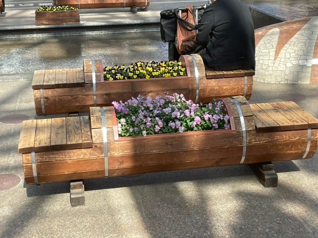 Bänke mit Blumen am Bahnhof in Kanazawa 