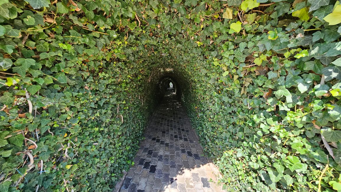 The green tunnel