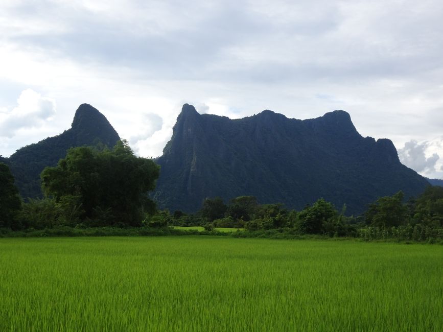 Karstlandschaft mit Reisfeldern bei Vang Vieng