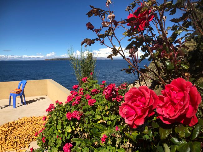 Fünfzehnter Tag: Von La Paz auf die Isla del Sol (25. April 2019)