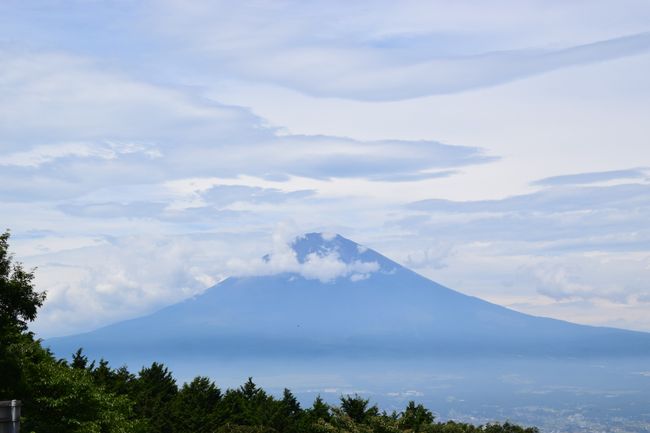 Mount Fuji from Otome Pass