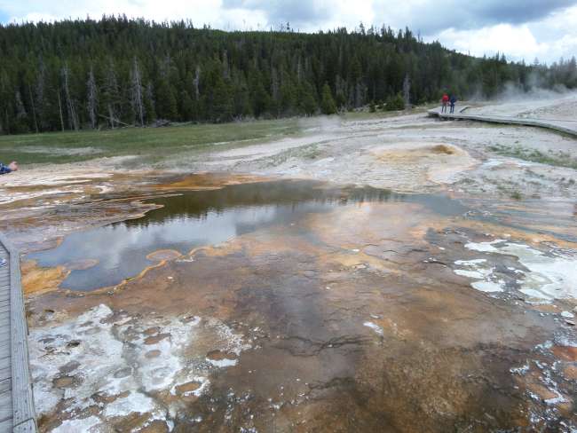 Parco Nazionale Yellowstone