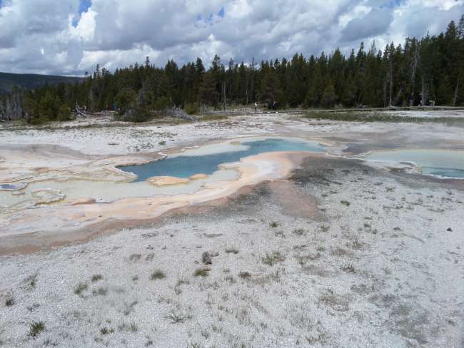 Parco Nazionale Yellowstone