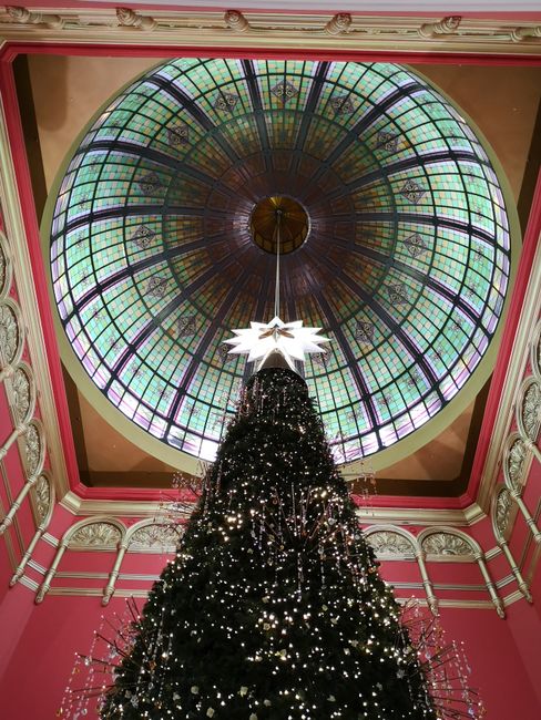 Christmas tree at Queen Victoria Building