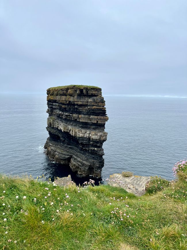 Beautiful landscape on the Irish coast 🌊😍💛