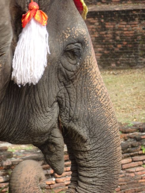 Ayutthaya and New Year's Eve in Bangkok