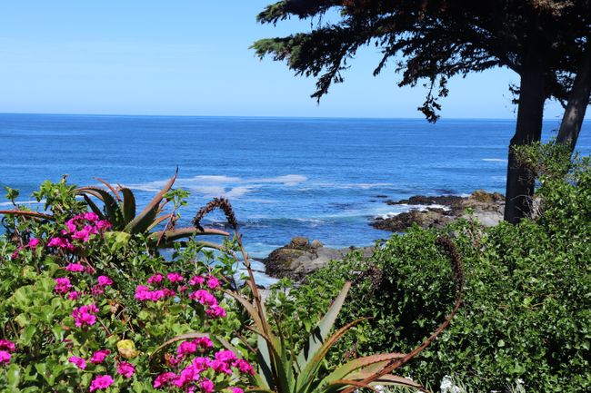View of the Pacific from Pablo Neruda's house in Isla Negra