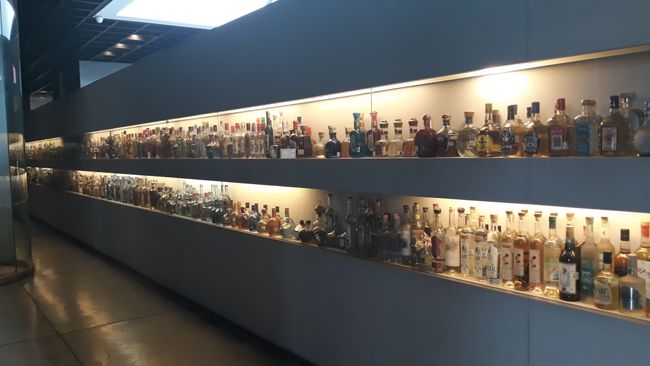 Museum für Tequila und Mezcal