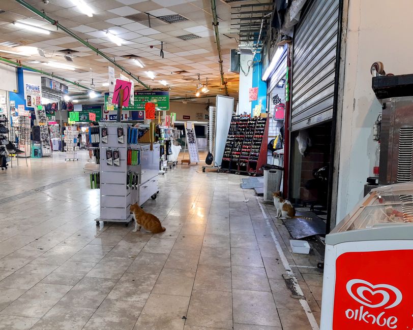 Busbahnhof Tel Aviv