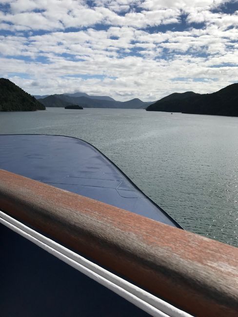 On the car ferry from Picton to Wellington (North Island)