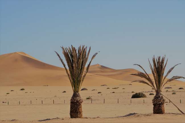 Dune 7 landscape