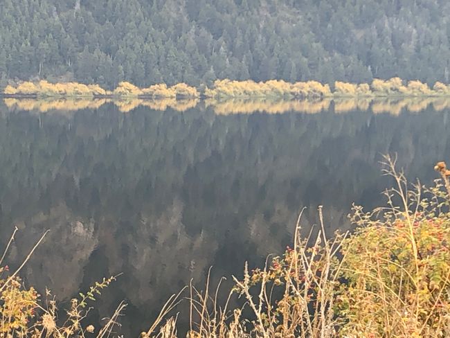 16. Mai: Alerce Nationalpark und Umgebung