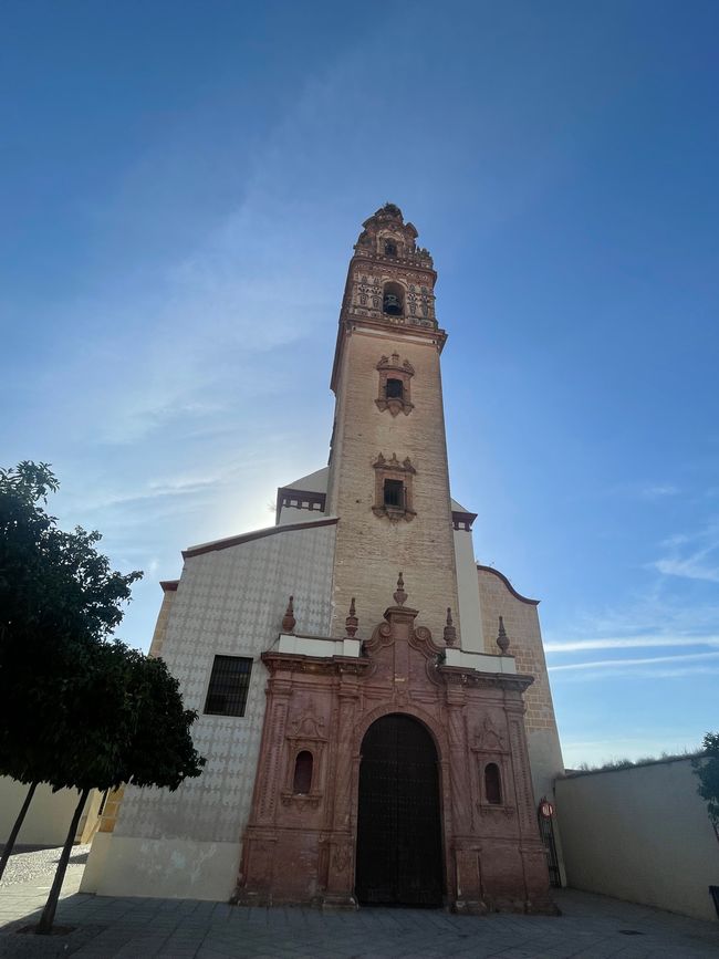 From Córdoba to Palma del Rio, Day 34