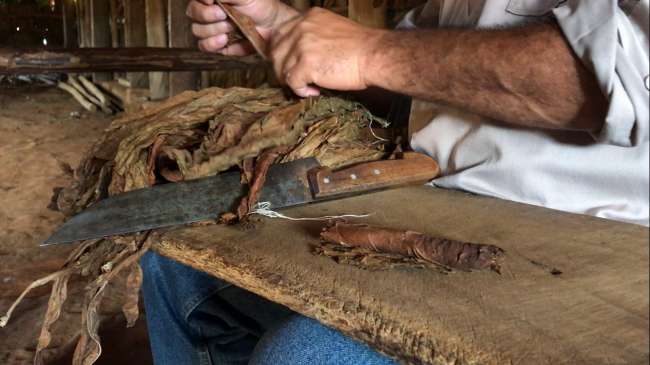 Rolling Cigars