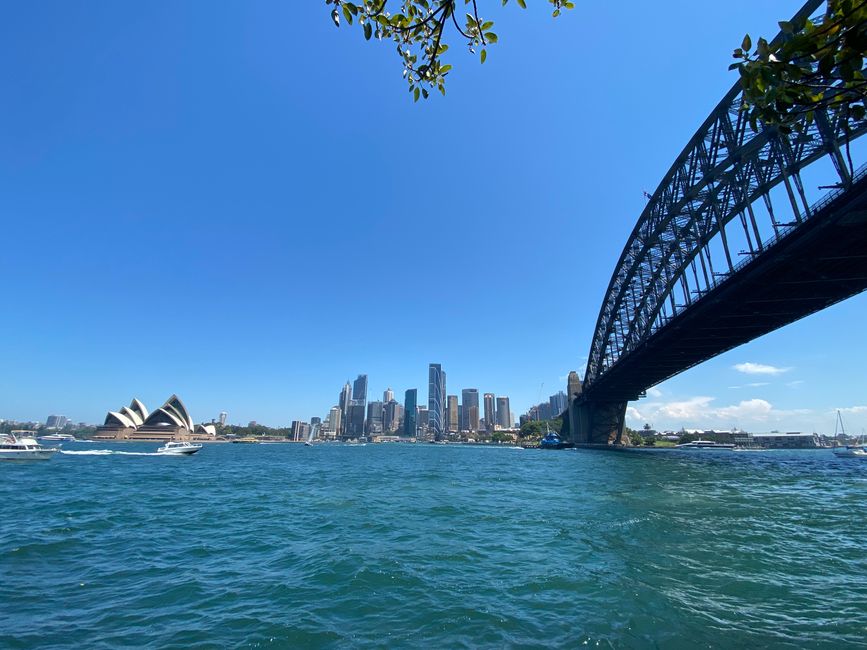 View from Milsons Point onto Circular Quay