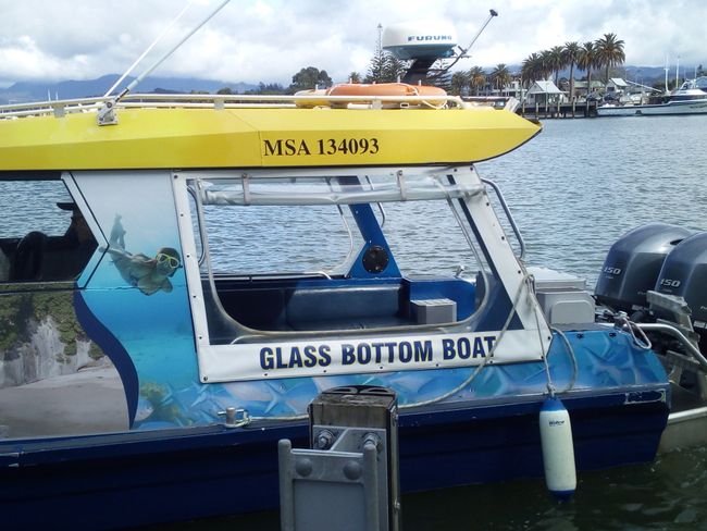 Boat trip with glass bottom