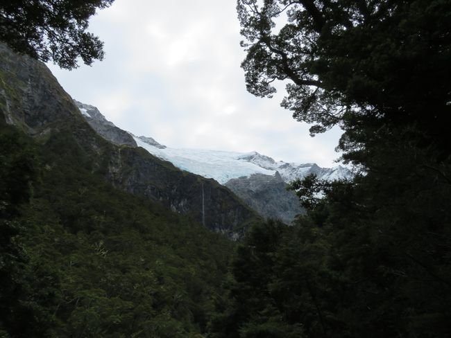 Rob Roy's Glacier 🌿❄️