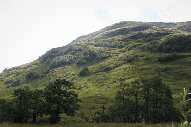 Through the 'Loch Lomond and the Trossachs' National Park