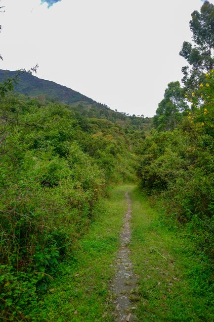 Ecuador - Loja und Nationalpark Podocarpus