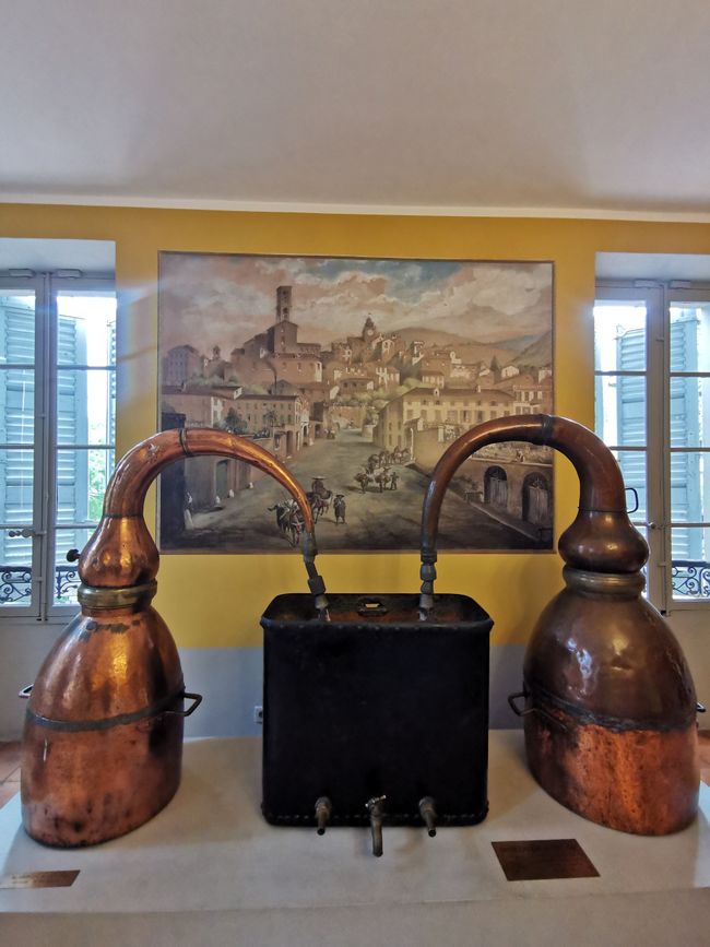 In the footsteps of Patrick Süskind's 'Perfume' in Grasse