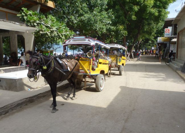 Sandy roads and horse-drawn carriages - no cars here (Gili Trawangan, Lombok)