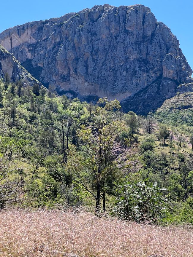 Hike to Cerro de la Bufa